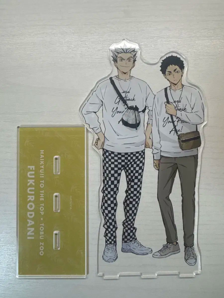 ハイキュー 東武動物公園 BIGアクリルスタンド 木兎光太郎 赤葦京治① ハイキュー!! TO THE TOP × 東武動物公園 描き下ろしイラスト 梟谷学園