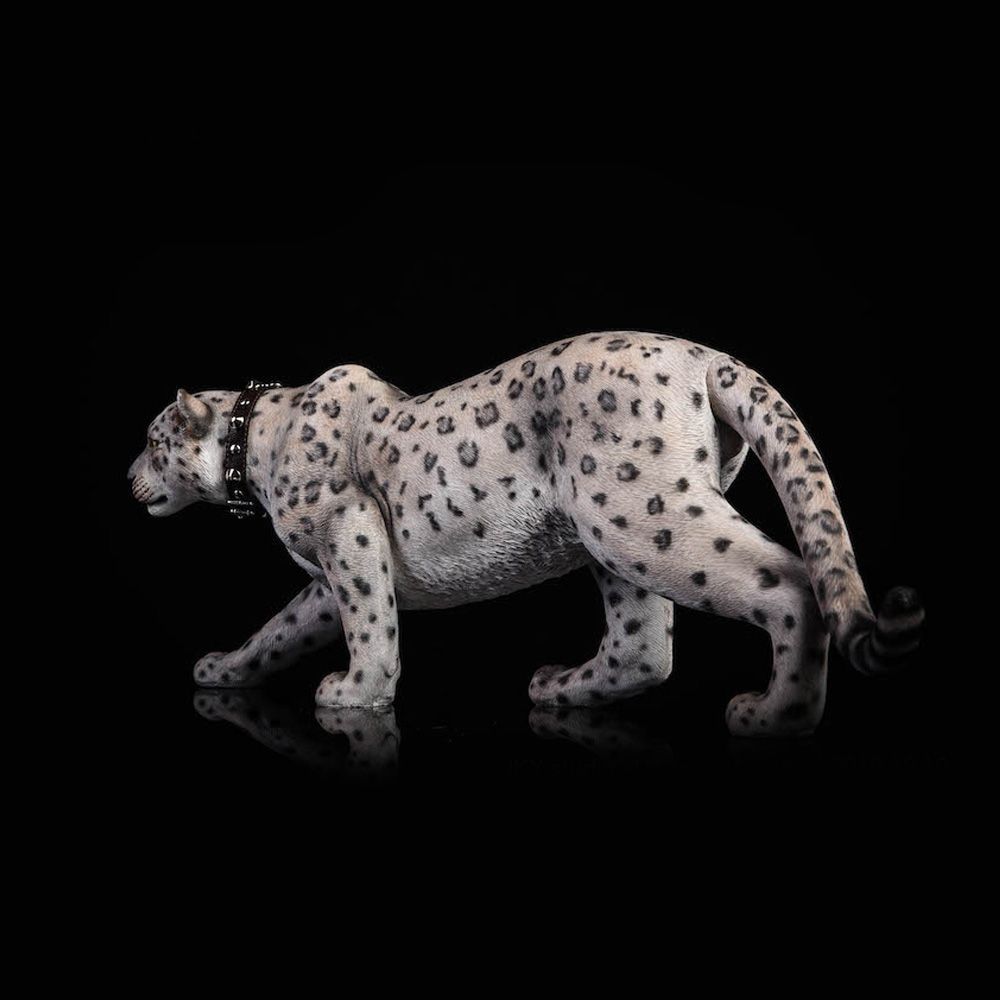 ジャガー