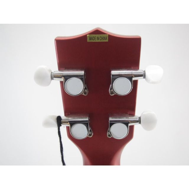 アーチトップ アコースティック