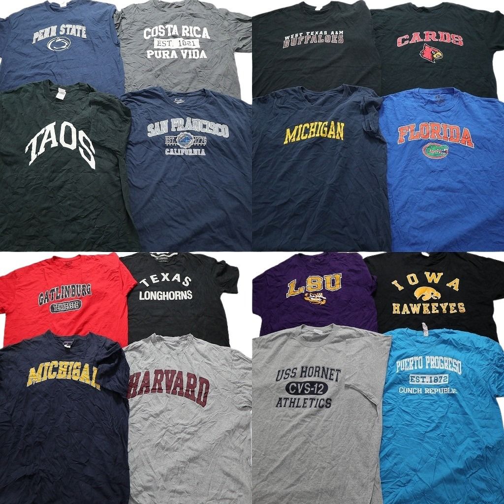 古着卸 カレッジ風 半袖Tシャツ 16枚セット メンズ XL |2XL フロリダ 3段プリント アーチロゴ LSU IOWA 古着 NA0143