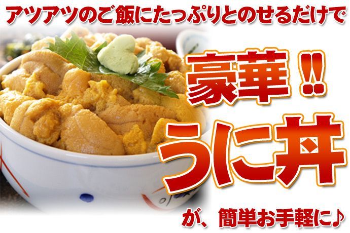 うに 塩水ウニ 塩水うに ムラサキウニ 80g×3 WWW_SUPERTOOLSSHOP_NL