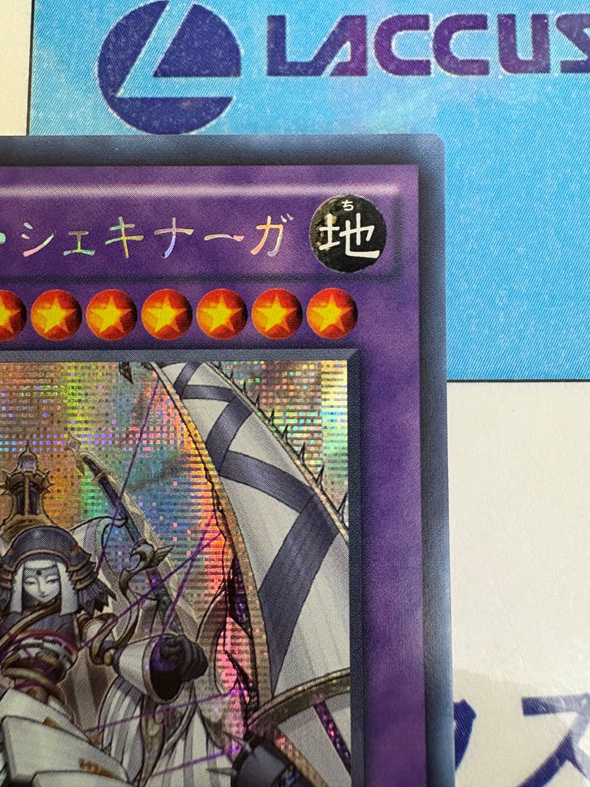 遊戯王 エルシャドール・シェキナーガ　アジアシークレット 遊戯王 エルシャドール・シェキナーガ シークレット/シク アジア