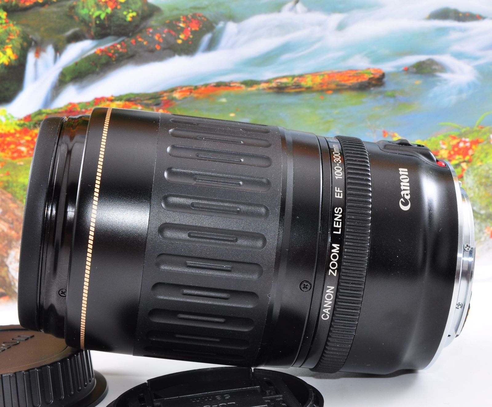 超值特卖 思い出をアートに! Canon キヤノン 望遠レンズ EF100-300mm