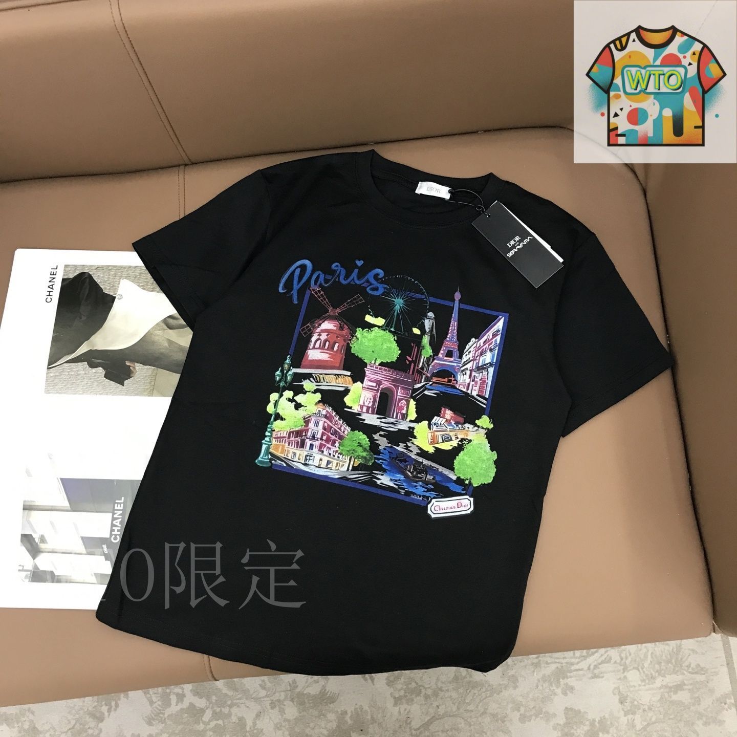 【存在感で魅せるシルエット】DIOR パリモチーフ Tシャツ org.jpg