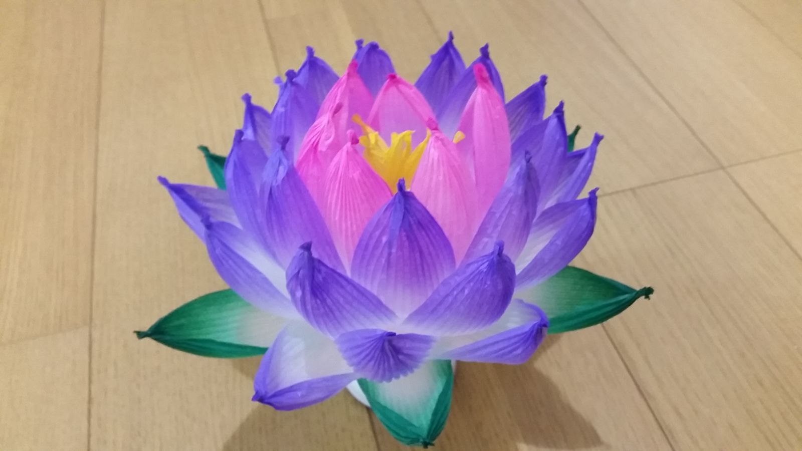 nomさま
