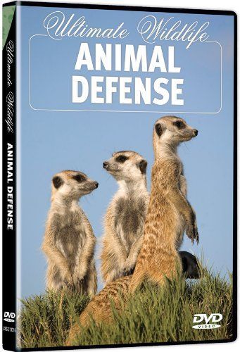 【】Ultimate Wildlife: Animal Defense [DVD]