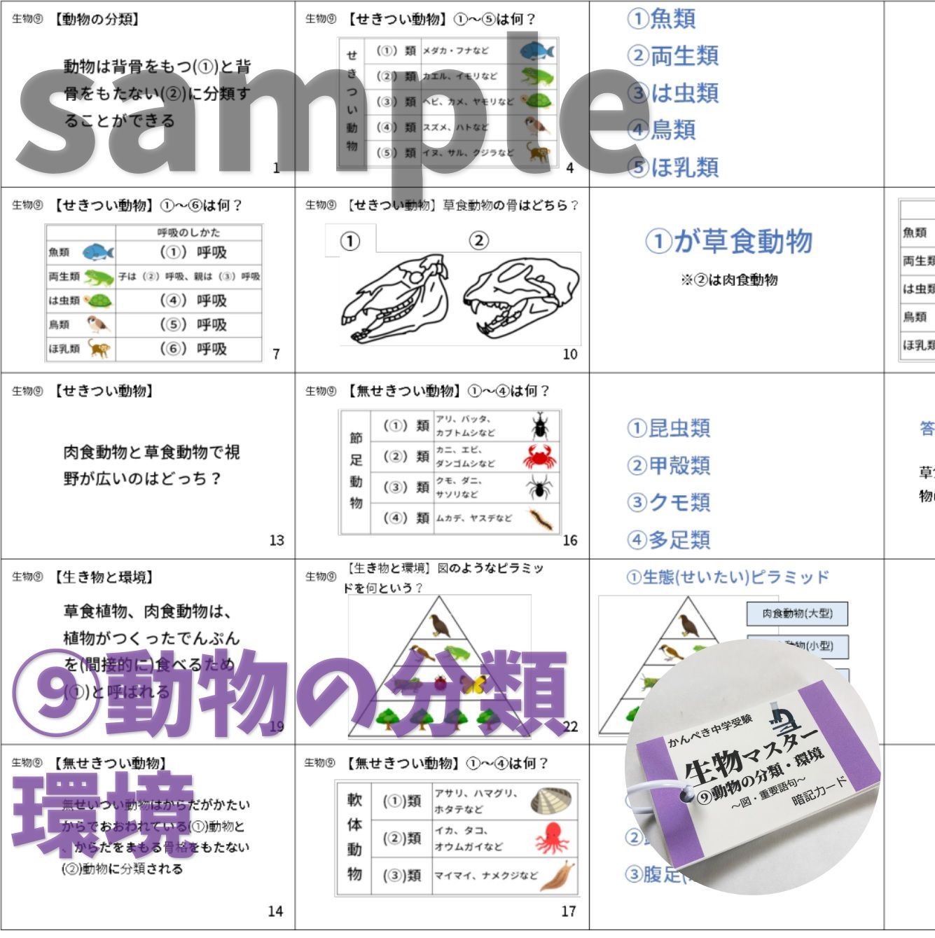 ☆【072】かんぺき中学受験理科 生物マスター①～⑨ 理科カード 問題集