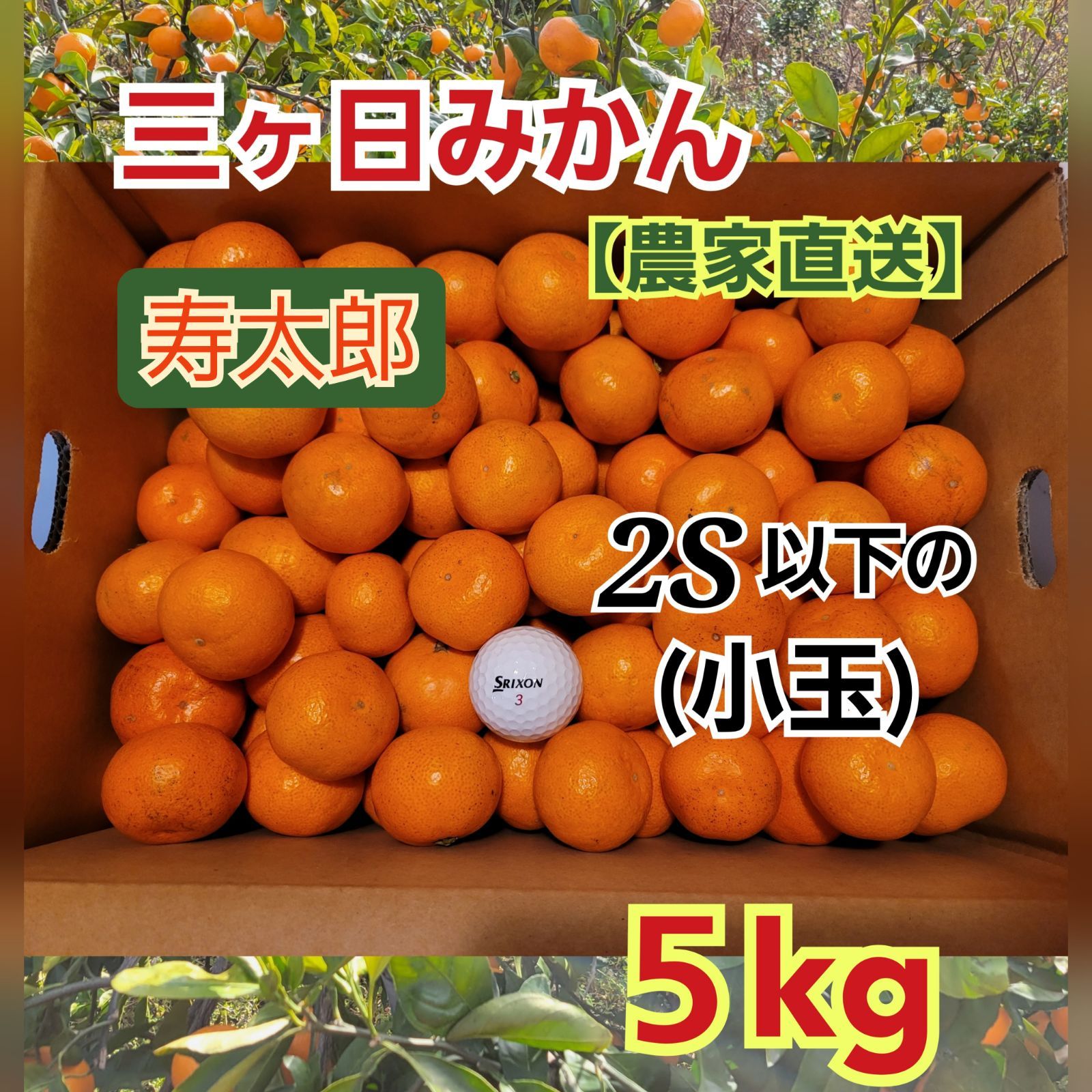 濃厚寿太郎小玉みかん5キロ - 果物