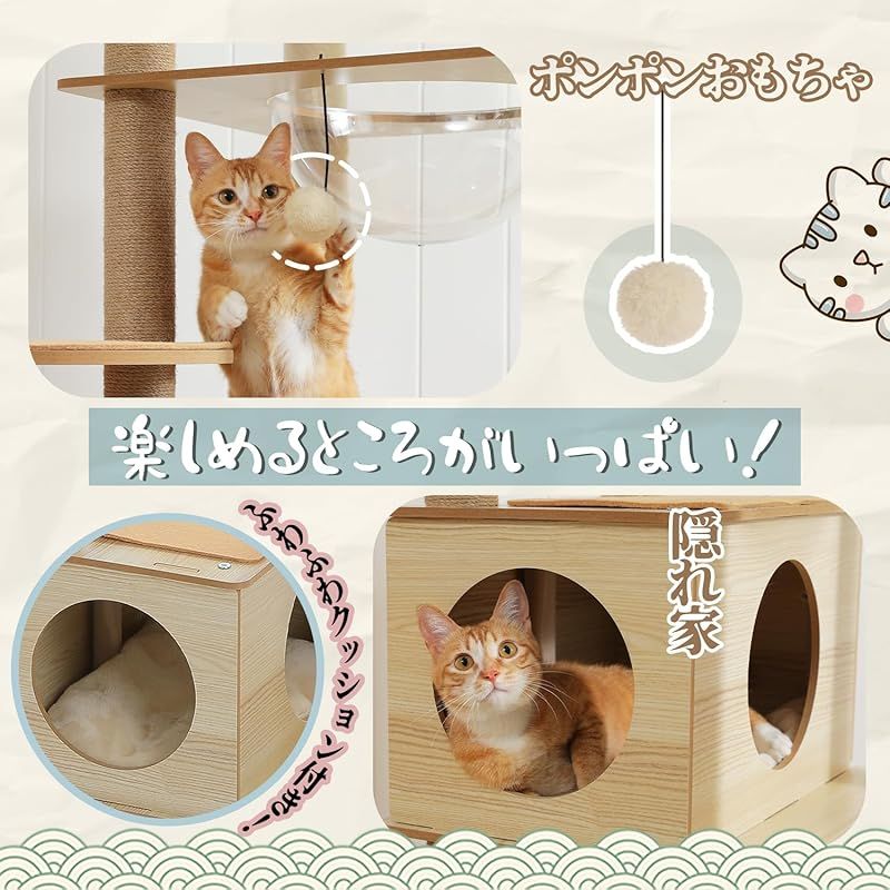 おしゃれ 多頭飼い