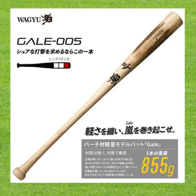 日本ハムファイターズ 杉谷拳士 硬式木製バット ZETT プロ野球