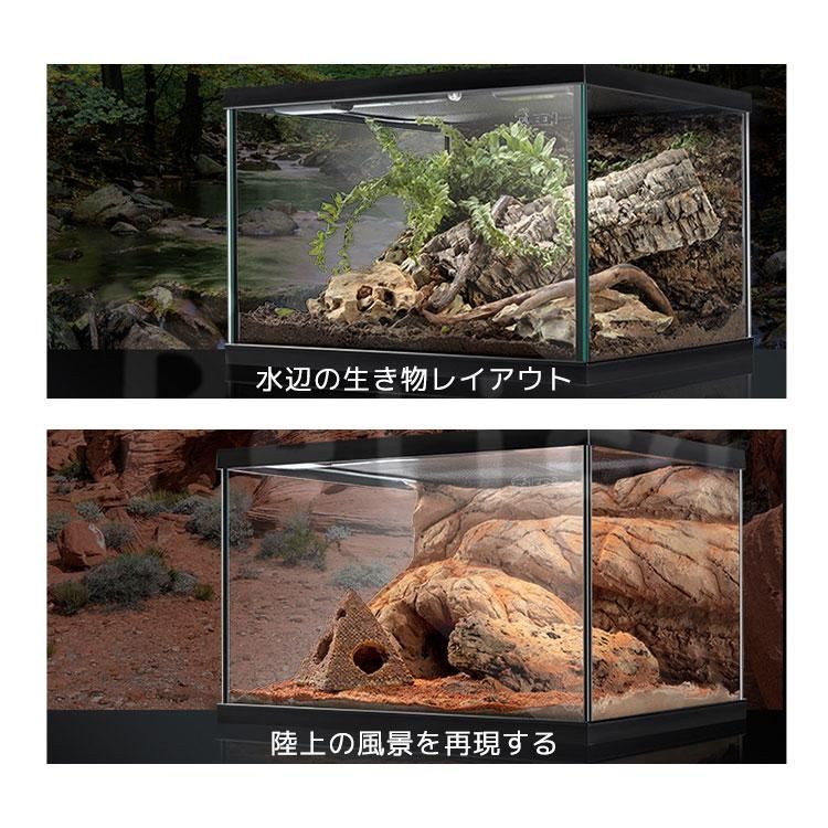 テラリウム 爬虫類 飼育 ケージ 両生類 カメ カニ グラス