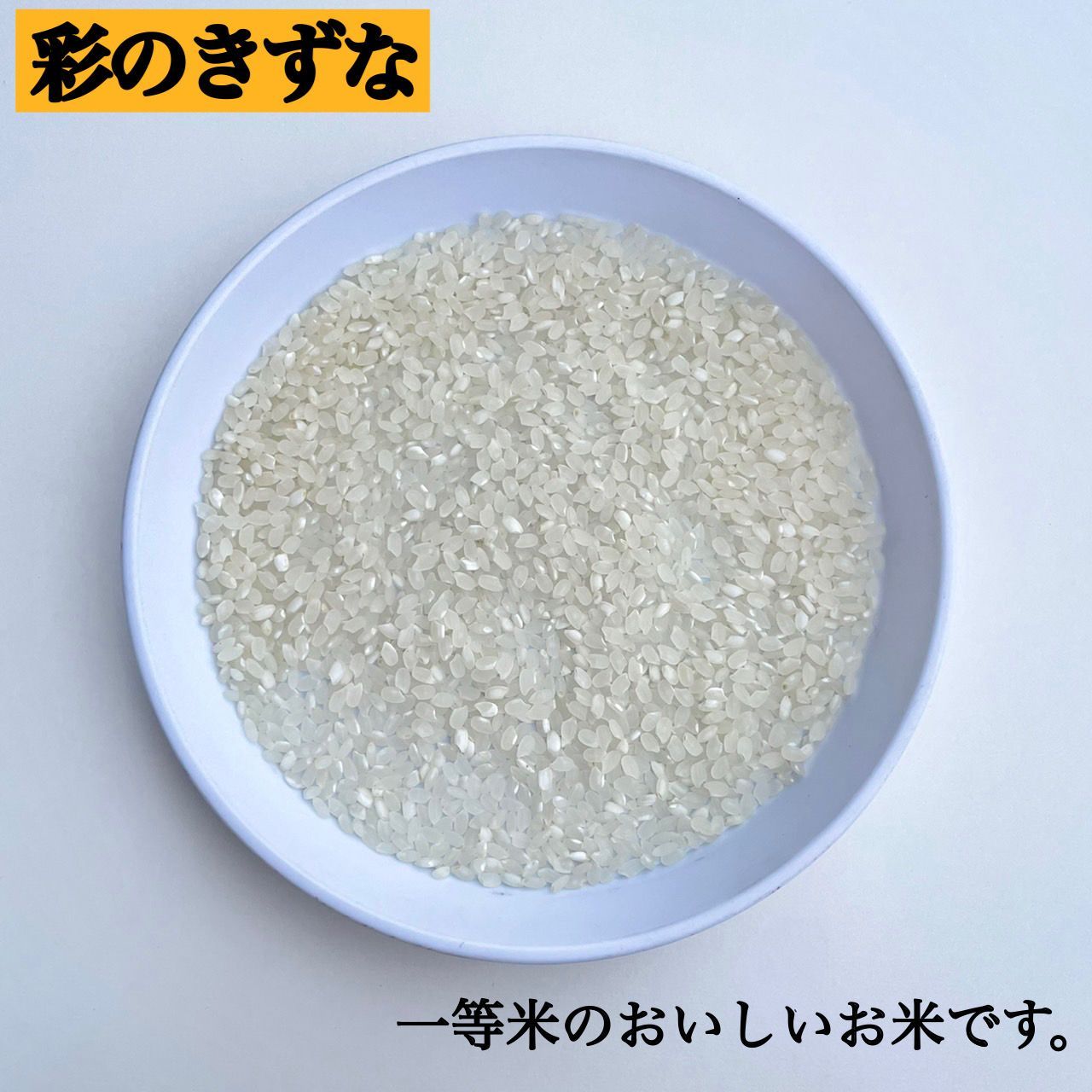 白米 20kg 彩のきずな 新米 埼玉県産 令和5年産 送料無料 米 20