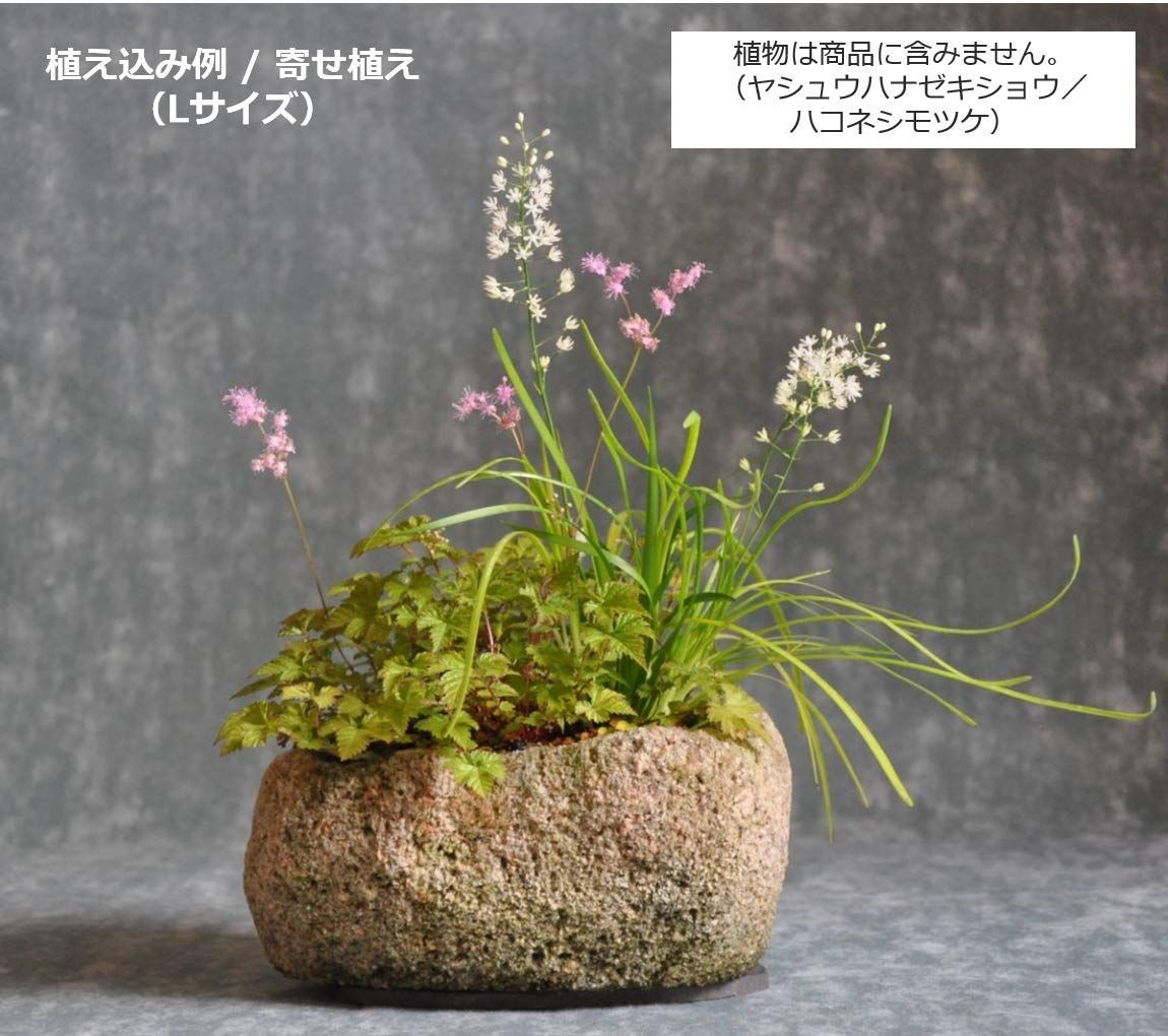 趣味 フラワー ガーデニング 園芸 鉢 陶器 動物 アヒル セトクラフト