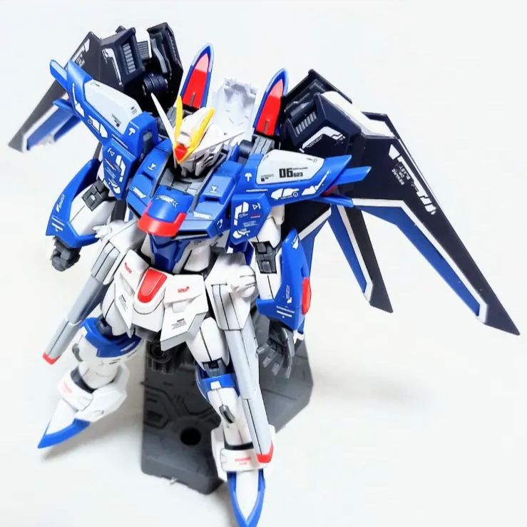 完成品 HG 1/144 ライジングフリーダムガンダム ガンプラ 組立て済み 