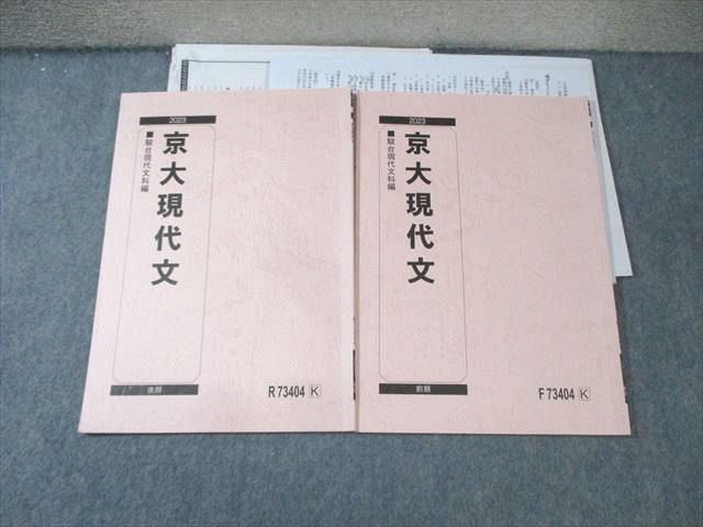 FA01-079 駿台 京大現代文 テキスト通年セット 2023 計2冊 岡井光義 008s0D