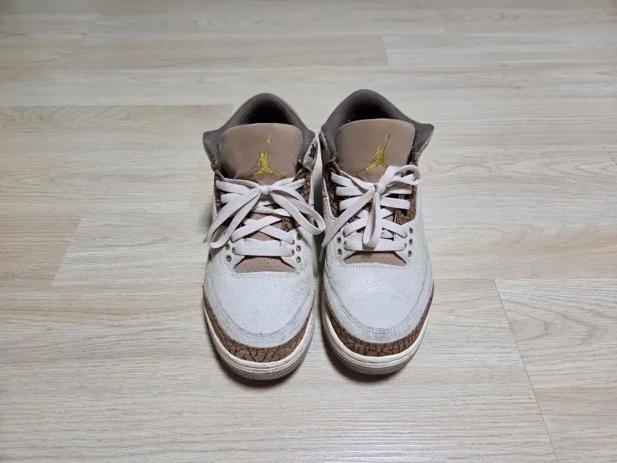 ジョーダン3 オアウッド ブラウン 270