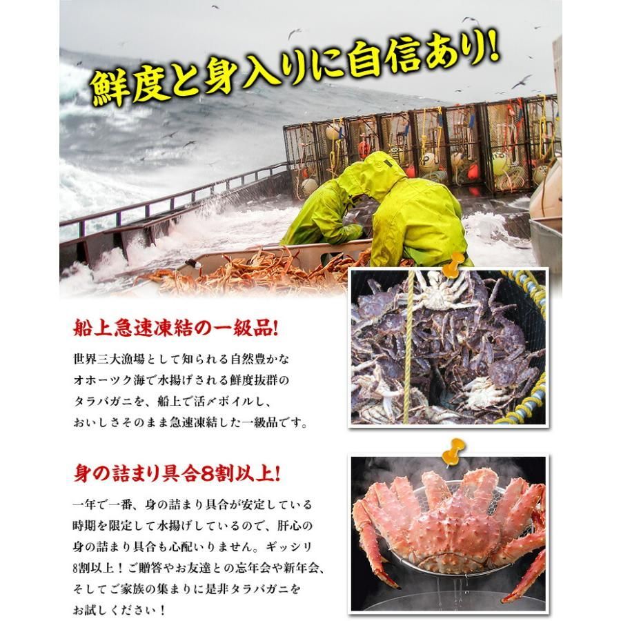 100%本物保証! 12月30日お届け ボイルたらばがに足1.6kg 800g前後×2肩入 食べ放題♪ タラバガニ かに カニ 蟹 焼きガニ 鍋 肩肉 冬ギフト 正月 甲羅組