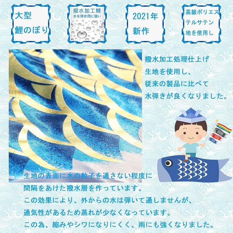 黒鯉3m 2021年度