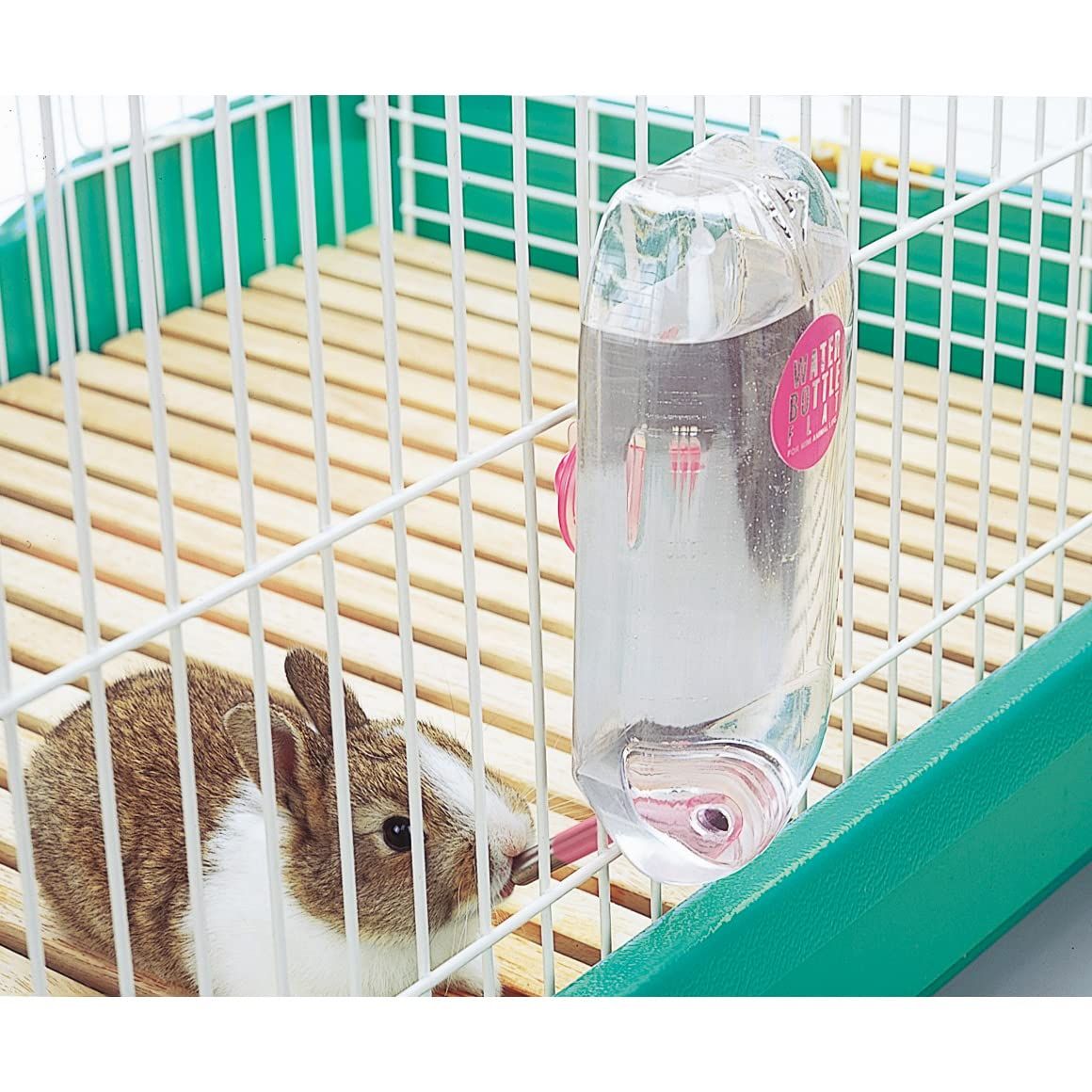 ウォーターボトルフラット 小動物用