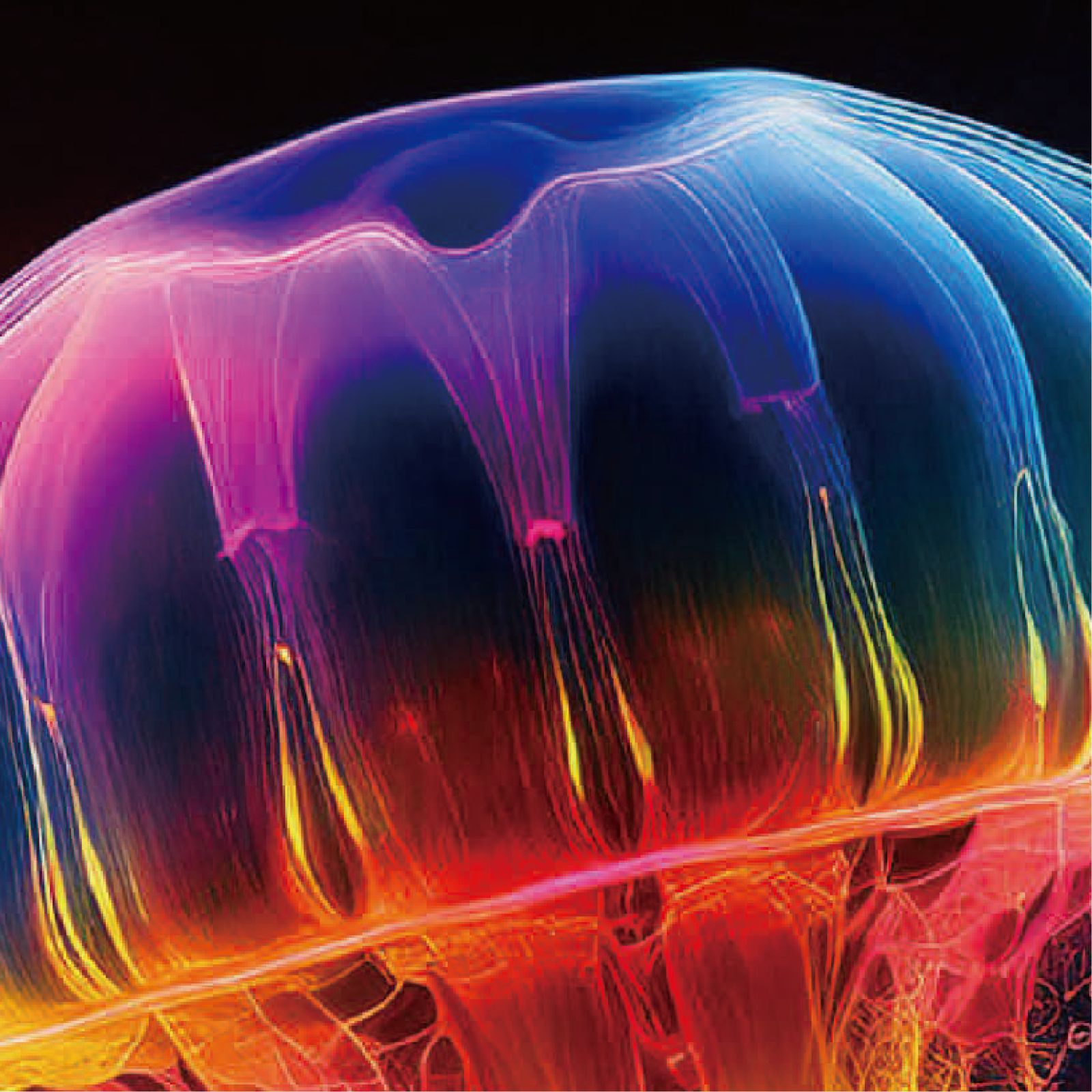 虹クラゲ <NO.001>（Rainbow Jellyfish）』 《ショップオリジナル