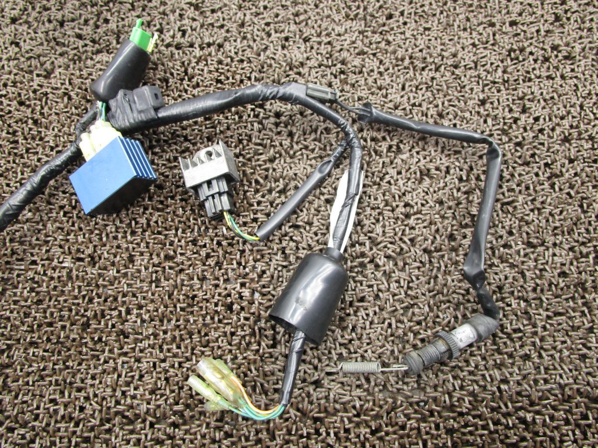 動画有 12V