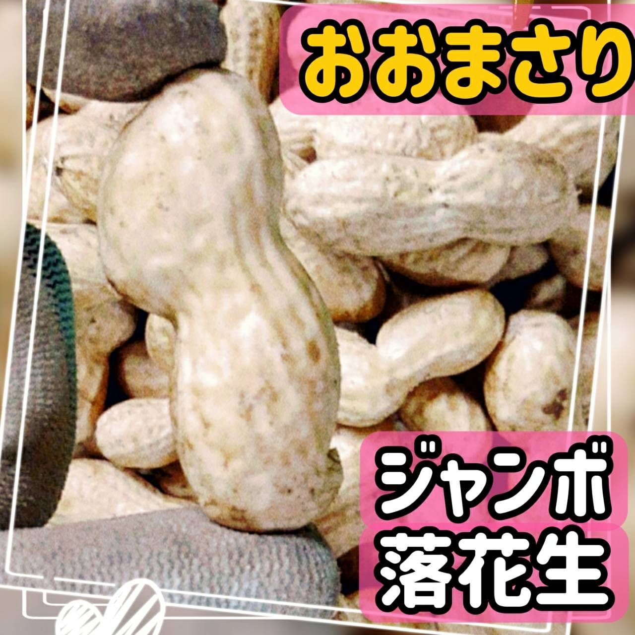 新物】生落花生 おおまさり ネオ 1kg 本場千葉県産 - メルカリ