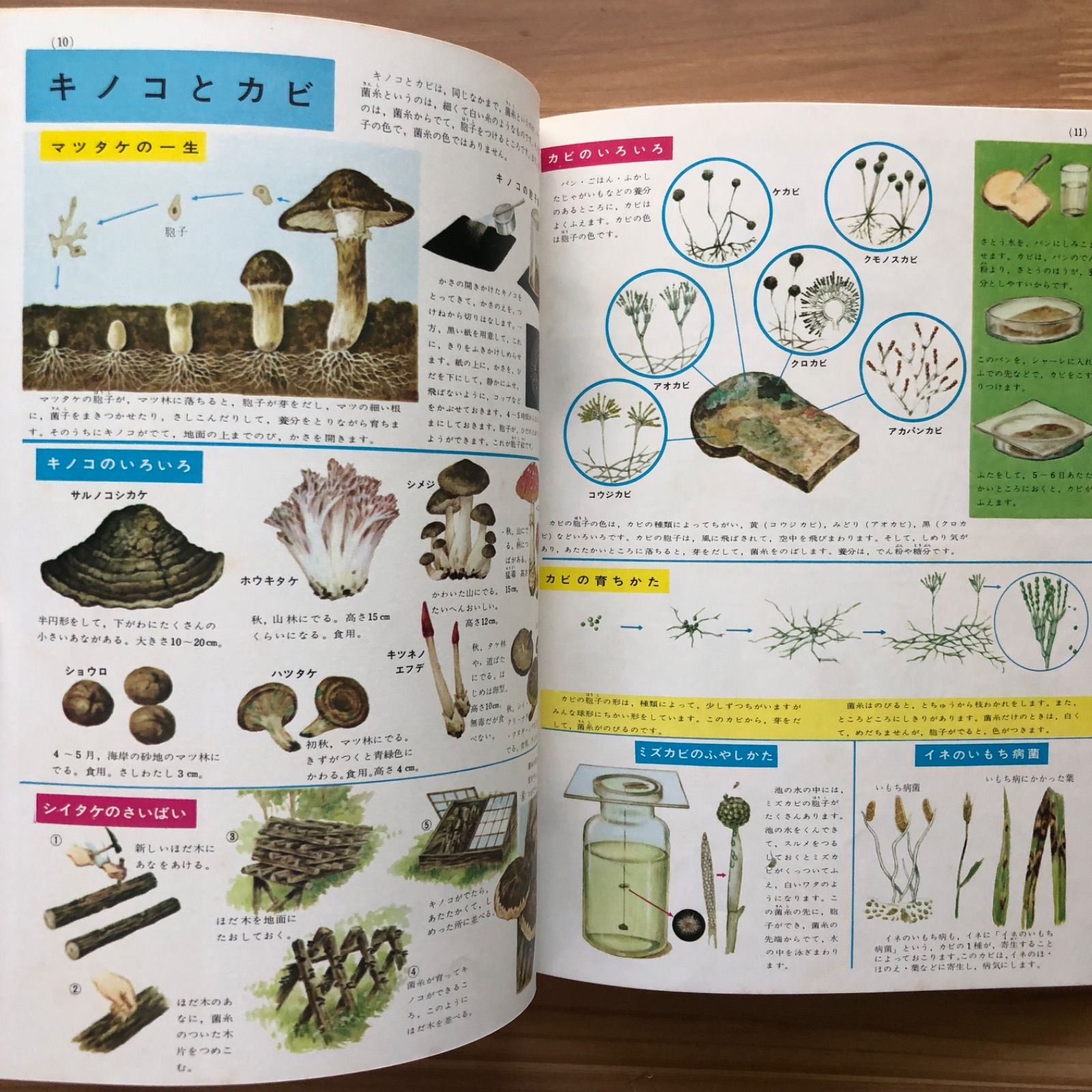 理科の図鑑 小学館 学習図鑑シリーズ12 - メルカリ