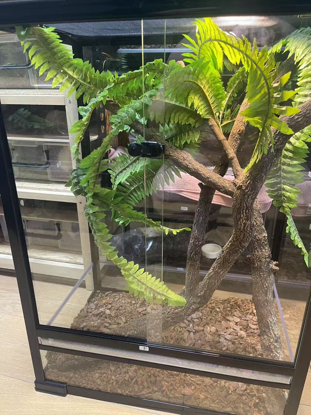 爬虫類両生類飼育ケージ組み立て式 ガラス飼育ケージ60x40x80cm引取り限定