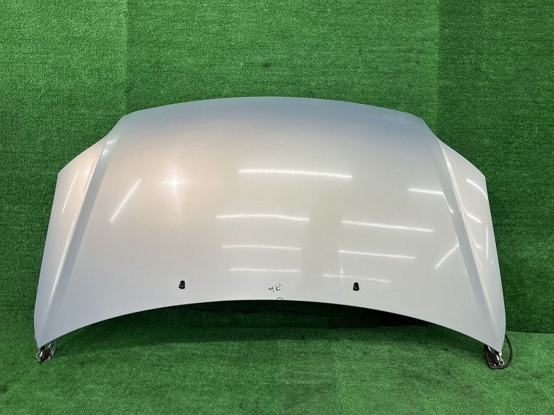 ラウム NCZ25 ボンネット・フードパネル ラウム Cパッケージ 4WD 53301