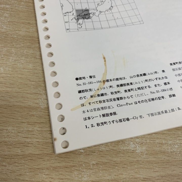 ■02)【同梱不可】日本化石集 第1期〜3期 全58巻 + 総目次・総索引 まとめ売り約55冊大量セット/日本化石集編集委員会/築地書館/貝化石/B □02)【同梱不可】日本化石集 第1期～3期 全58巻 + 総目次・総