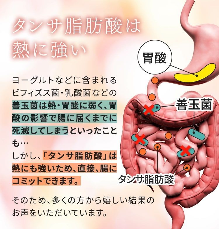 魔法のTANSA409