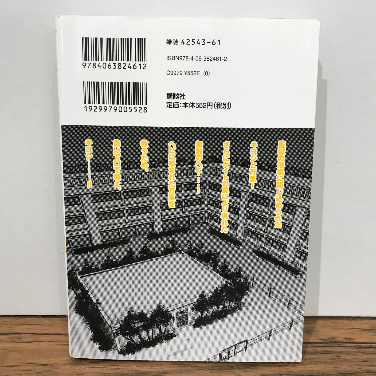 初版】監獄学園 13巻/平本アキラ/GF-0225023539-YP/GF09541