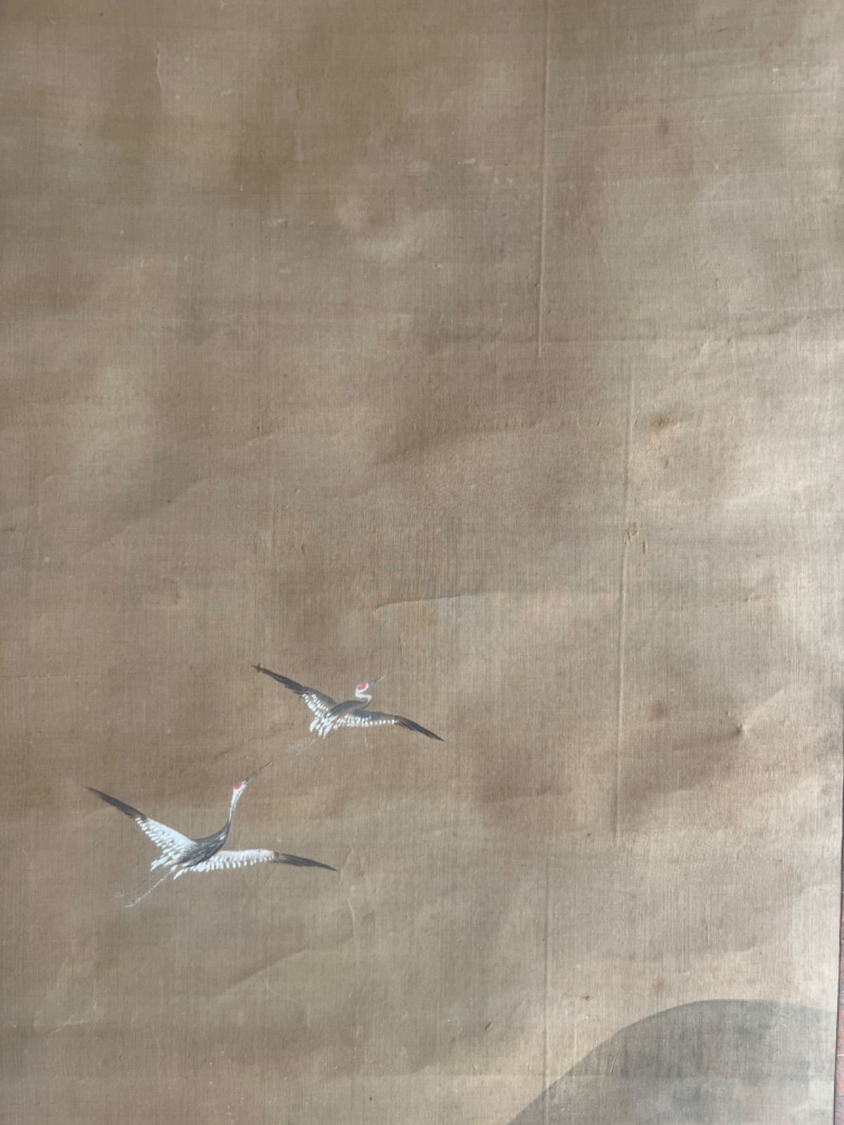 美品 掛け軸 島田稔明作 富士桜図 共箱 二重箱 縁起物（楽天市場