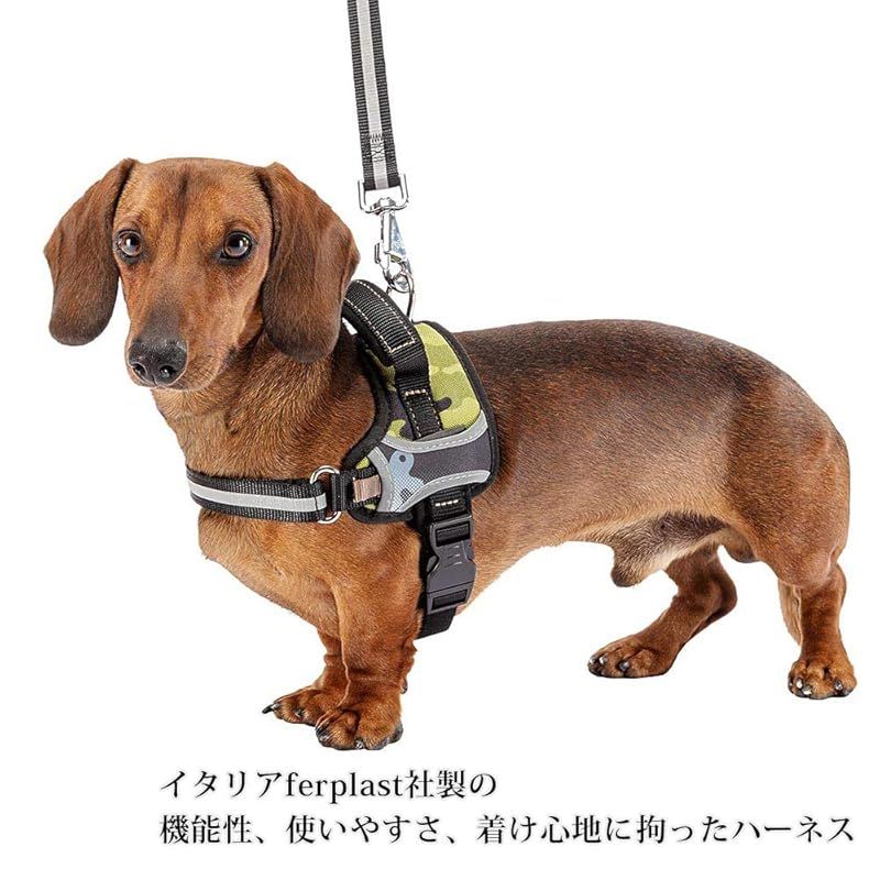 P ハーネス
