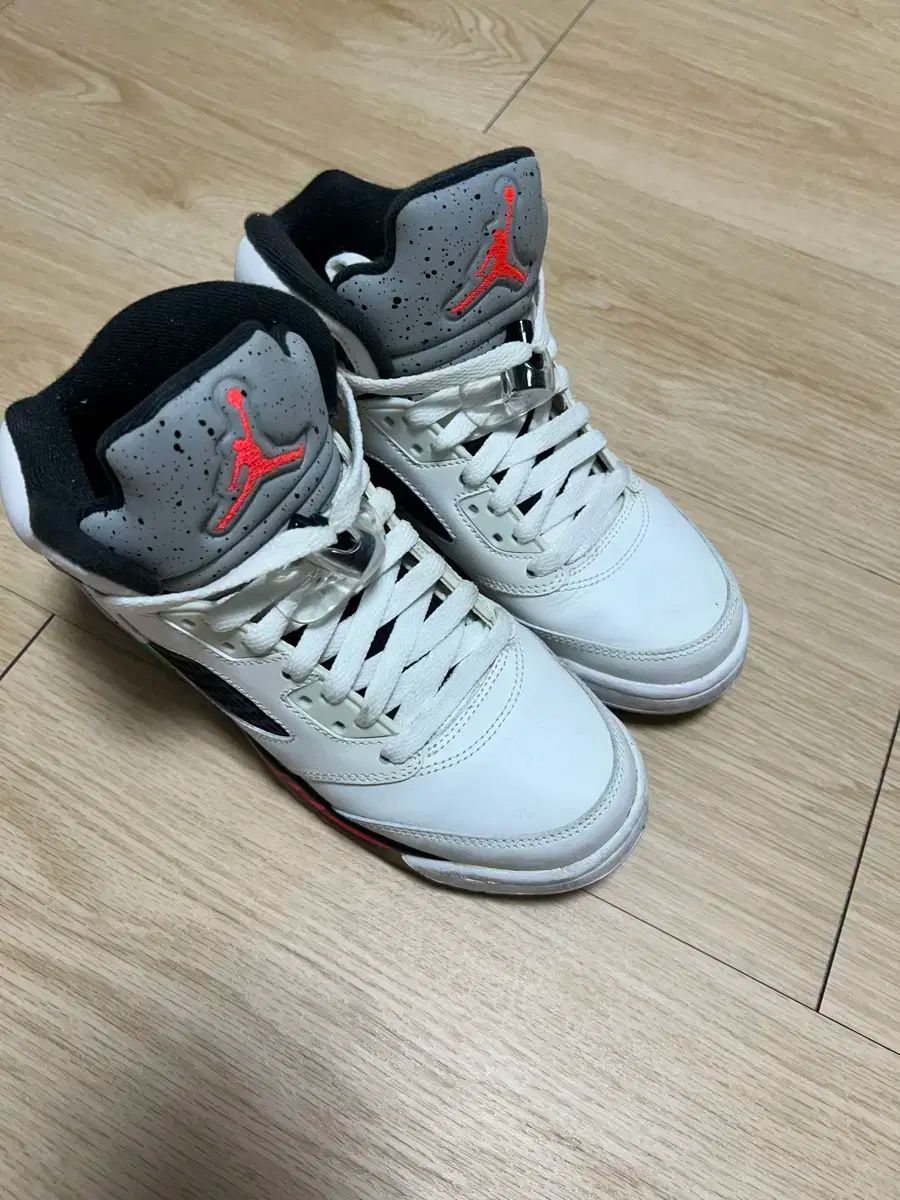 NIKE ナイキ エアジョーダン 5 プロスター スペースジャム 230