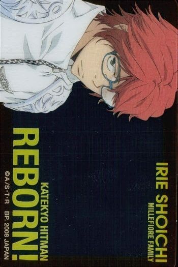 家庭教師ヒットマンREBORN カード 全種セット】「家庭教師ヒットマンREBORN!」 ～favorite series