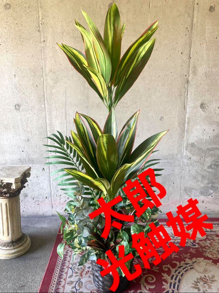 人工観葉植物 ウォールグリーン