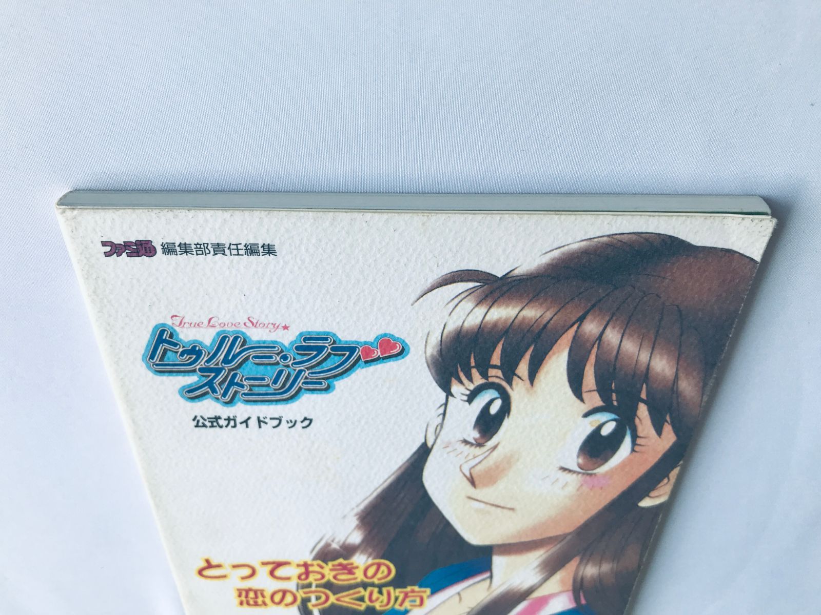 トゥルーラブストーリー 公式ガイドブック PS 攻略本 初版