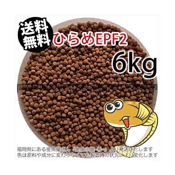 コメント専用ページ 浮上性/日清丸紅飼料ひらめEPF2(2.5mm)6kg小分け品(宅配便※