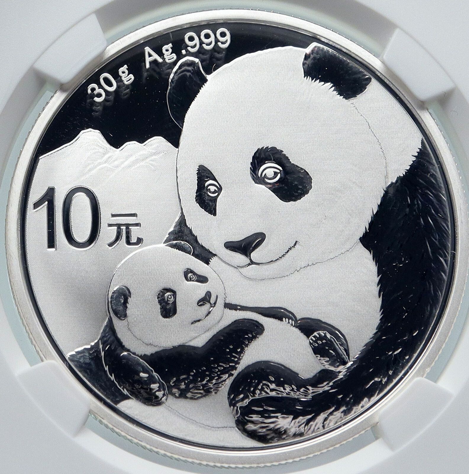 2019 CHINA PANDA MOM w CUB Silver 10 Yuan Chinese Coin NGC MS70 i85715
