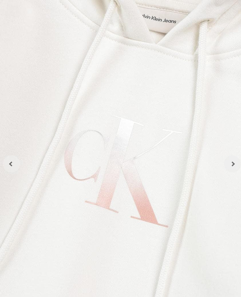 ロゴスウェットパーカー XL