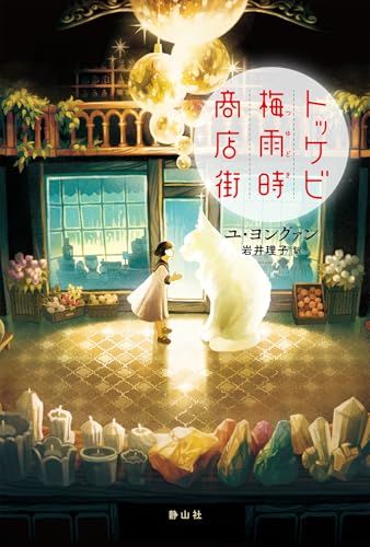 トッケビ梅雨時商店街／ユ・ヨングァン