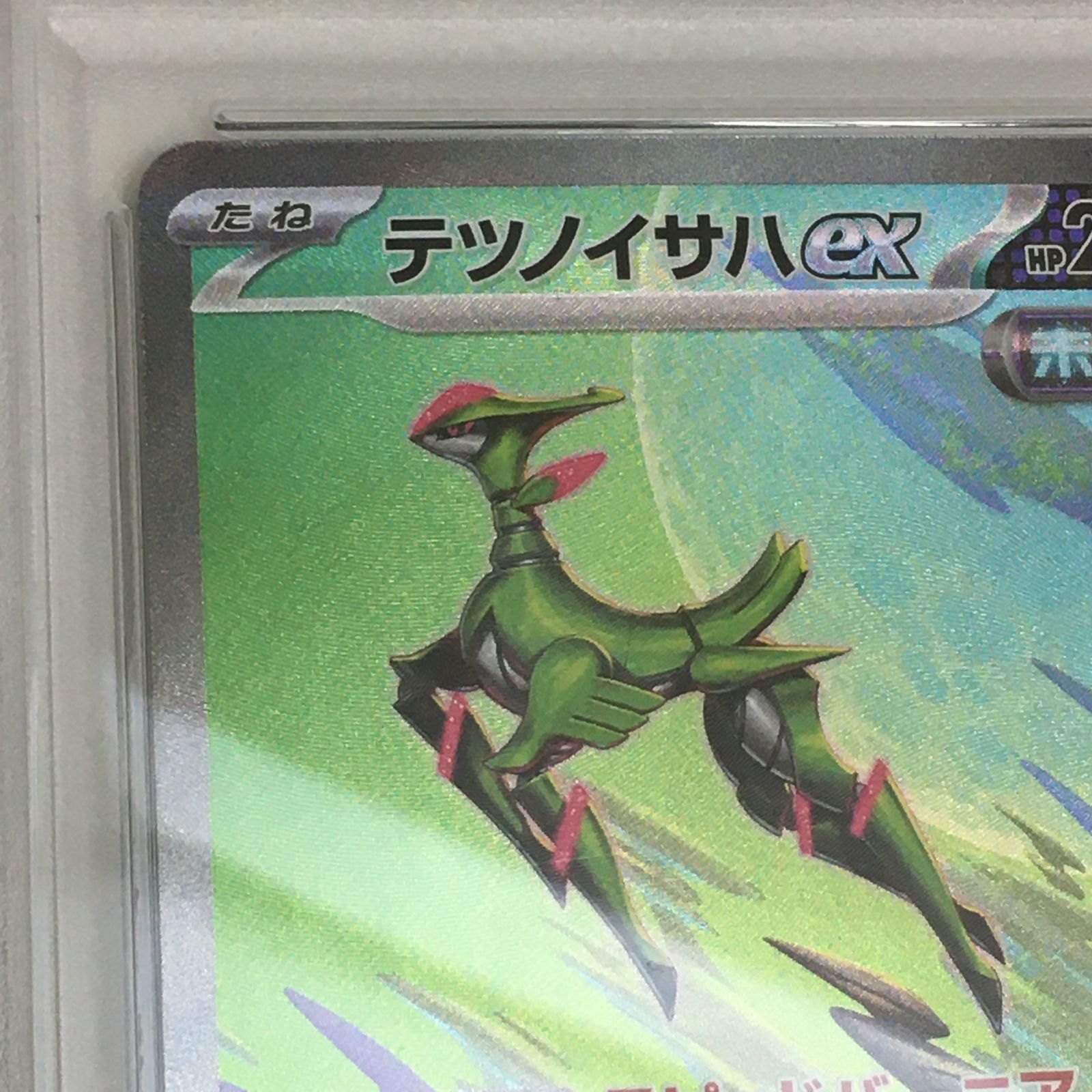 ポケモンカード テツノイサハex sar psa10 PSA10鑑定済〕テツノイサハex【SAR】{093/071}
