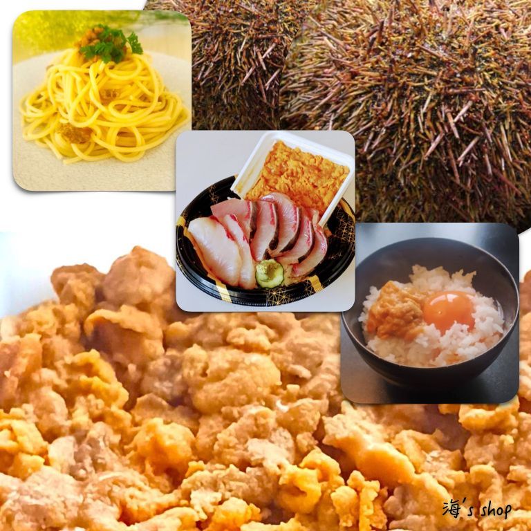 うに.ウニ.雲丹.塩雲丹.最安値 1990円1本送料込無添加 10