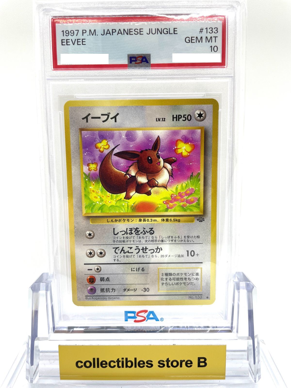 【PSA10】イーブイLv12 旧裏　ジャングル PSA10】ポケモンカード 旧裏面 イーブイ LV.12 ポケカ 拡張パック第2弾