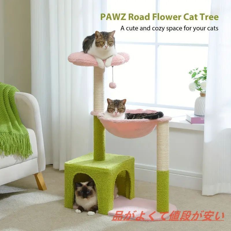 グリーン 小型猫