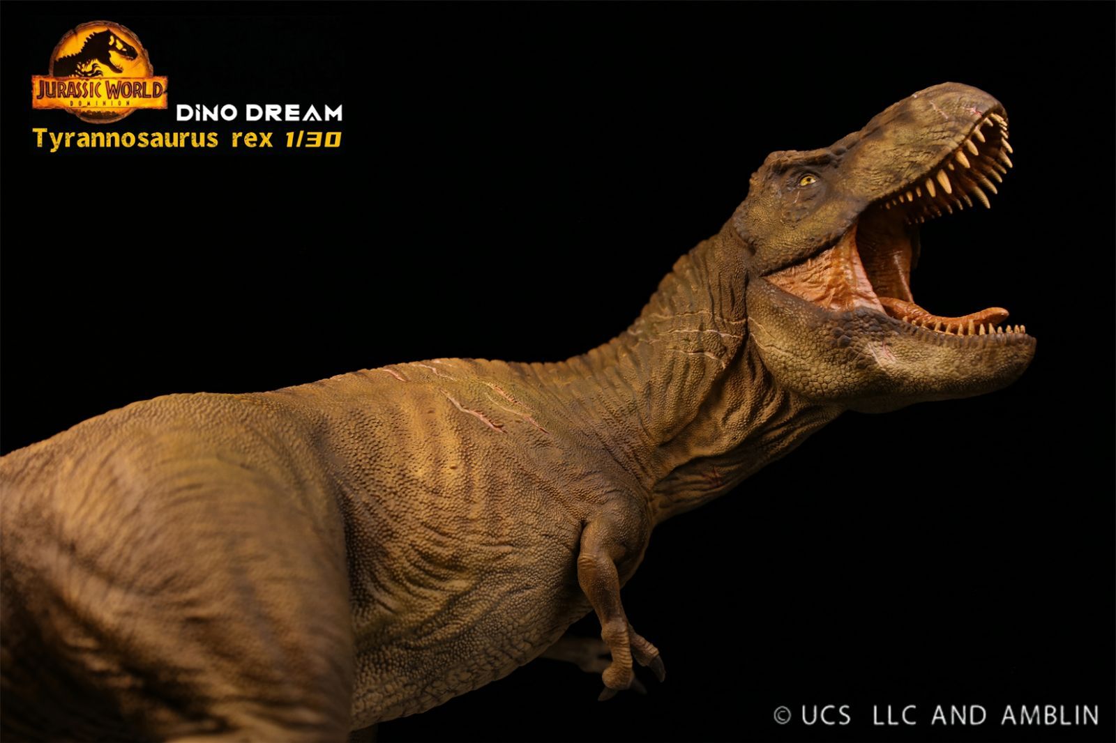 DINO DREAM 限定版 1/30 サイズ ティラノサウルス 肉食 Tレックス 恐竜