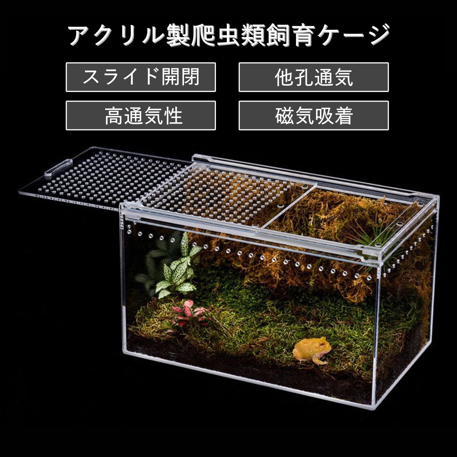 COZENTA 爬虫類 ケージ シェルター アクリル製 トカゲ 蛇 サソリ 飼育