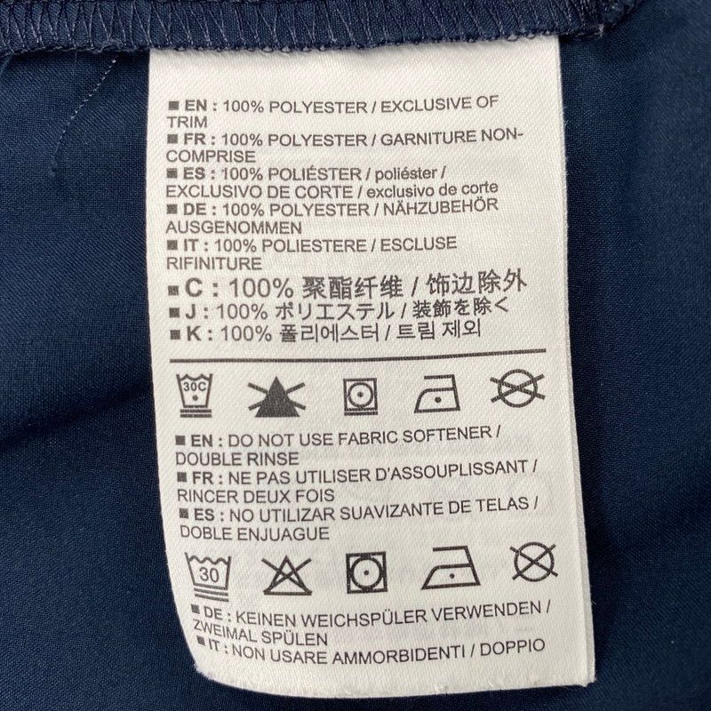 スカイライン SS