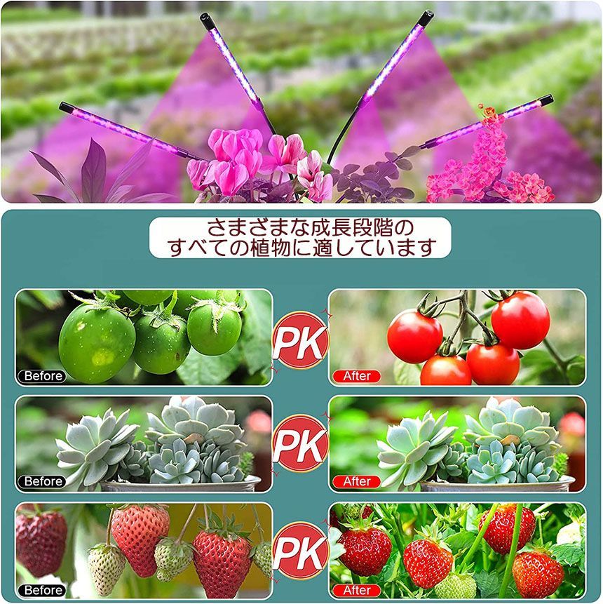 観葉植物 4ヘッド式ライト